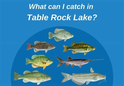 Biggest catches in Table Rock Lake
