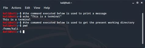 what language is used in kali linux terminal