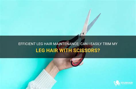  79 Ideas What Length Should I Trim My Leg Hair For Hair Ideas