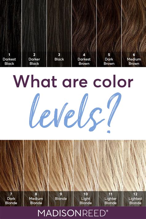  79 Popular What Level Brown Is My Hair For Hair Ideas