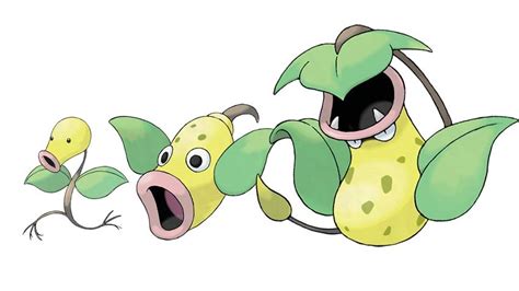 what level does bellsprout evolve in let's go eevee