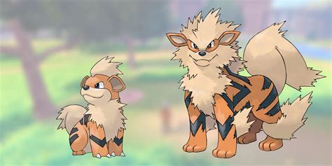What Level Does Growlithe Evolve Sword