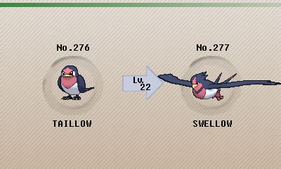 What Level Does Tailow Evolve At Level