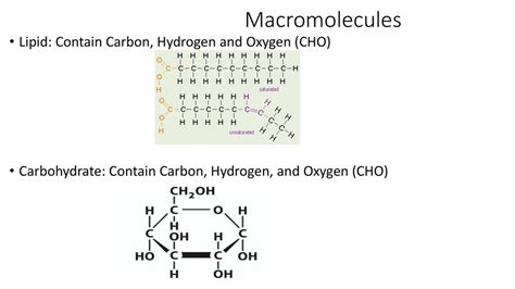 What Macromolecule Contains Carbon Hydrogen And Oxygen