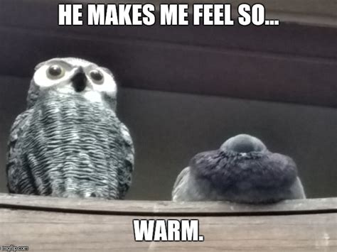 What Makes Down So Warm