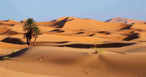 what makes the sahara desert unique