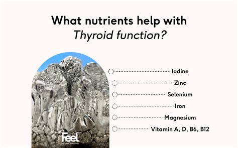 What Minerals Help Thyroid Function