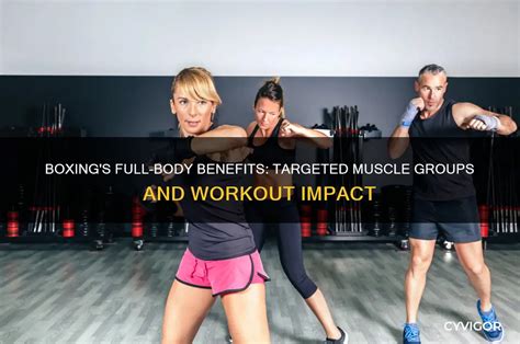 What Muscle Groups Does Boxing Workout