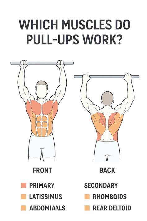 Gym Programs SymFit PT and Fitness Denver, CO 80203
