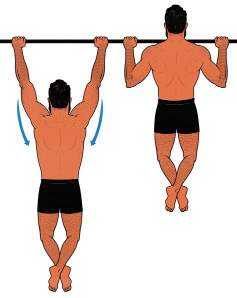 How to Do Pullups Workout with Proper Form Exercises & Guide