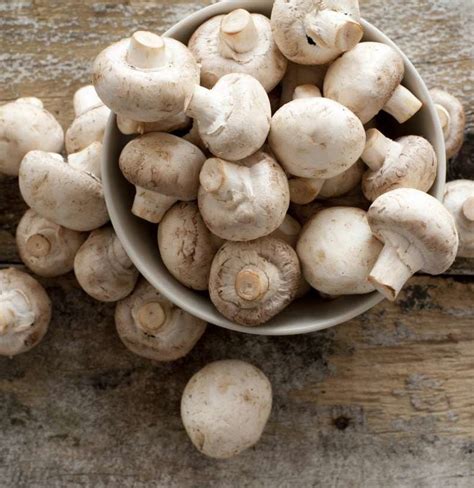 what mushroom helps blood sugar
