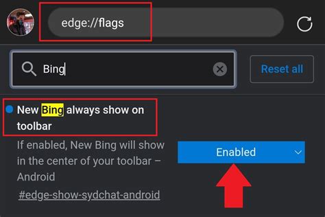 what new bing chat option enables