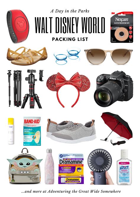 what not to bring to disney world