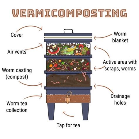 What Not To Put In A Worm Bin