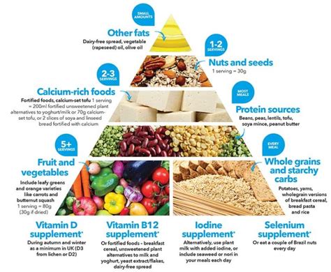 What Nutrients Do Vegetarians Need