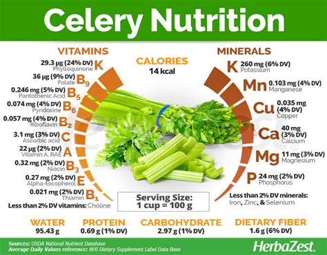 What Nutrients Do You Get From Celery