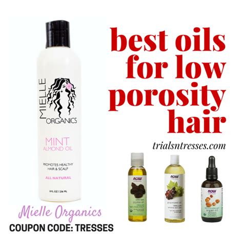 This What Oil Is Good For High Porosity Hair Hairstyles Inspiration