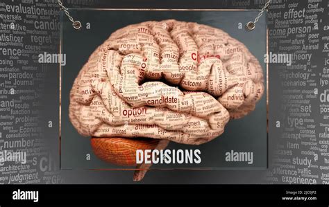 What Part Of The Brain Makes Decisions And Solves Problems