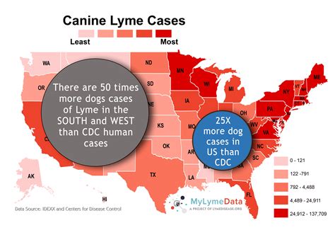 what percentage of dogs die from lyme disease