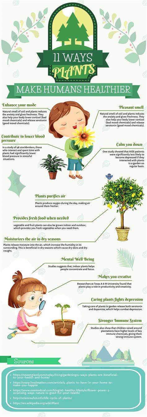What Plants Help Humans