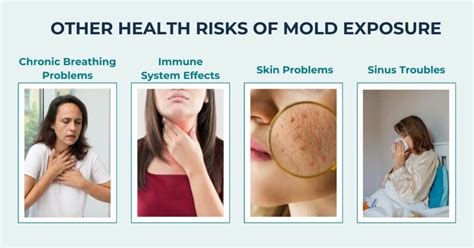 What Problems Can Mold Exposure Cause