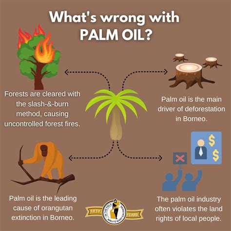 What Problems Does Palm Oil Cause