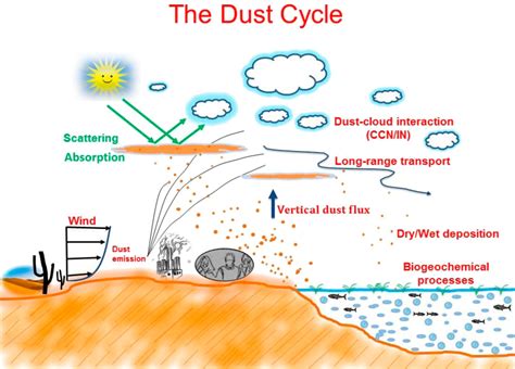 What Process Causes Clouds To Form On Particles Of Dust