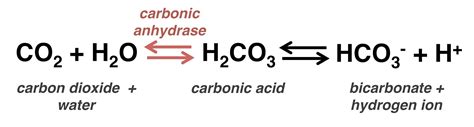 what produces carbonic acid