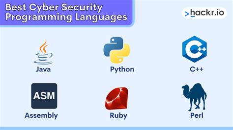 what programming language do i need for cyber security