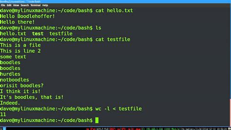 what programming language is bash