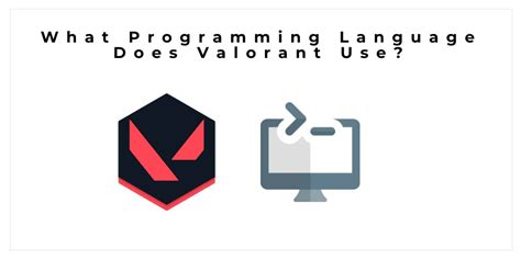 what programming language is valorant written in