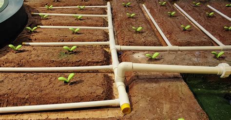 What Pvc For Irrigation