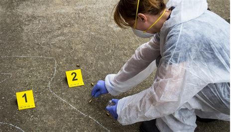 what qualifications are needed to be a forensic scientist