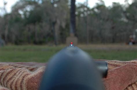 What Range Should I Sight In My Shotgun
