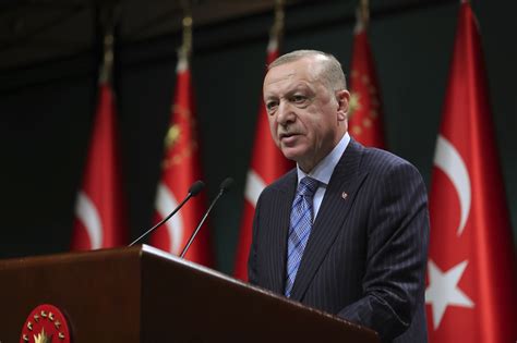 what reasons does president erdogan claim for