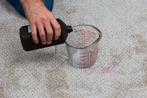 what removes wine and coffee stains from wool carpet