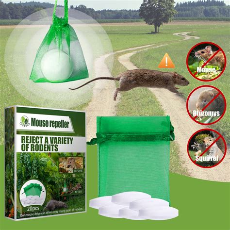 What Repels Pack Rats