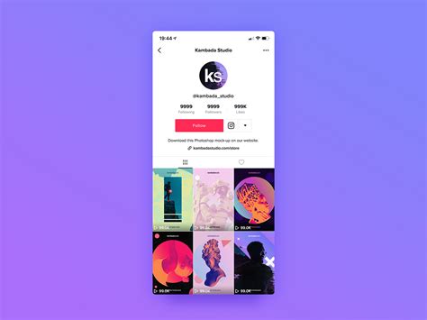 what resolution does tiktok support