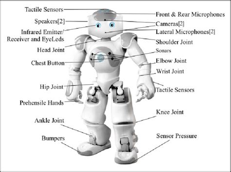 What Sensors Does The Robot Have And How Does The Robot Use These Sensors
