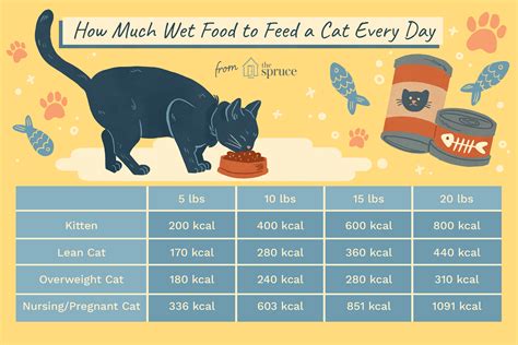 what should i feed my overweight cat