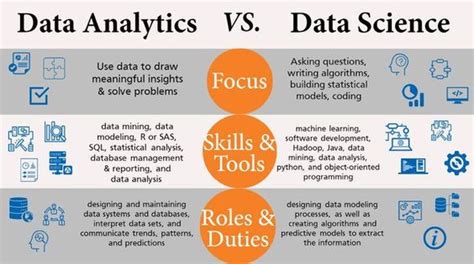 what should i major in for data analytics