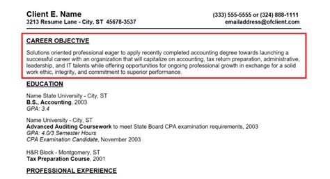 what should i write in cv objective