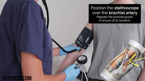 What Should Standing Bp Be