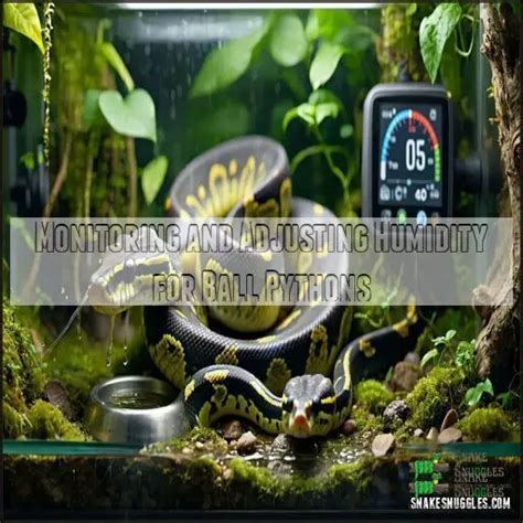 What Should The Humidity Be For A Ball Python