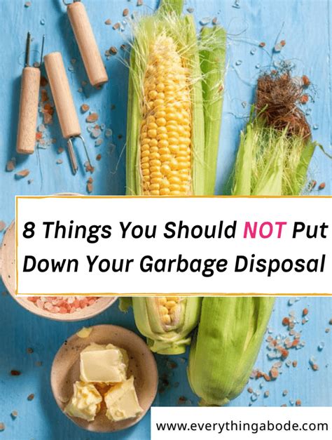 What Should You Not Put In A Garbage Disposal