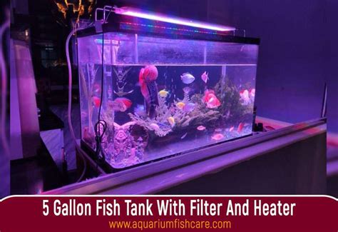 what size heater for a 5 gallon fish tank