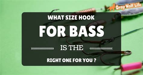 what size hook for bass