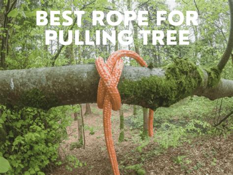 What Size Rope For Pulling Tree