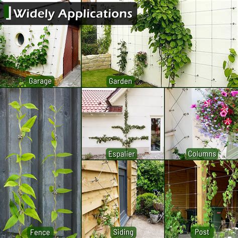 What Size Wire For Espalier