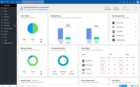 what software does a project manager use